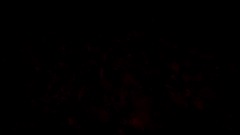 Mi creación - 7/9/2026