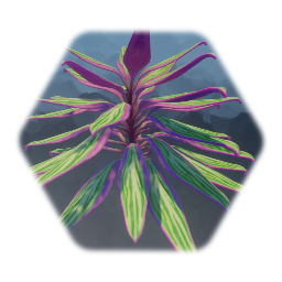 Plant - Cordyline Fruiticosa