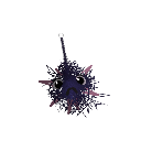 Xelampha