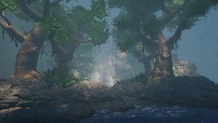 Jungle test