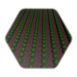 Lettuce field