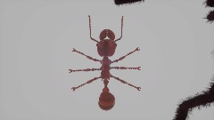 Entomophobia