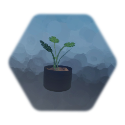 Low Thermo Potted Plant