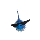 AerodactOhl
