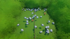 Sheep Shuffle