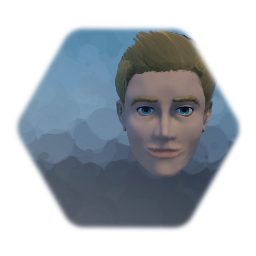 Barry Allen Head