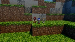 SONIC IN MINECRAFT