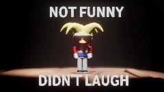 Birdbrain didn't laugh