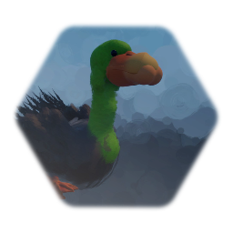 Duck