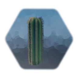 Saguro Cactus Baby