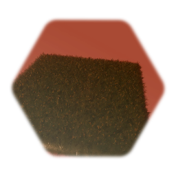 Grass