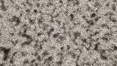 Fnaf VHS tape: parts snd service