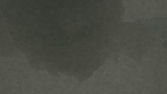 Minha Criação - 24/4/2021