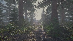 Realism  Forest Study