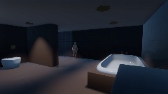 Bathroom of the Tiny House