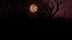 A night in the woods