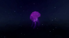 Jellyfish
