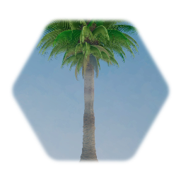 Palm Tree 2