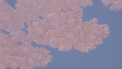 The calm tropical land