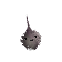 Notfust