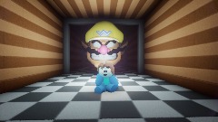 The Wario Apparition Joshua032310