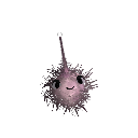 SN1CKL3-_-FR1TZ