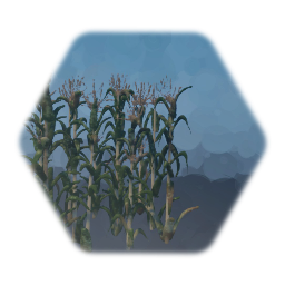 Cornstalks
