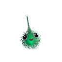 neoxidado