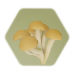 Shimeji Mushrooms