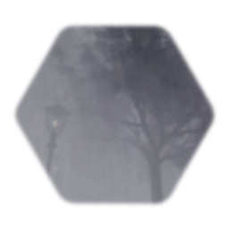 A Park on a Rainy Day