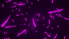 10 thing's I've learned in audio mode (unfinished)