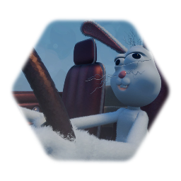 Dumb bunnys car