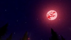 My Creation - 26/2/2026