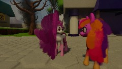 The Search Really Begins