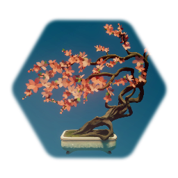 Cherry Blossom Bonsai