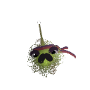 rhysjr7