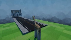 Giraffe town