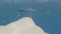 Scary  Shark (Really fun)