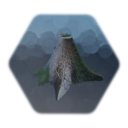 Lichen Kapok Tree Stump