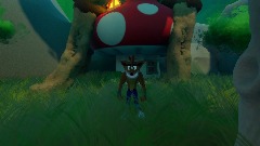 Crash bandicoot's home
