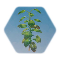 Pirate Cove - Big Plant