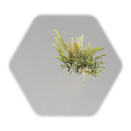 Grass
