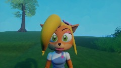 Coco Bandicoot's friendship