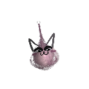 Catkita