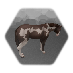 Realistic Horses - American Paint 1