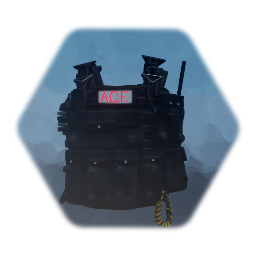 The Anti Corruption Force