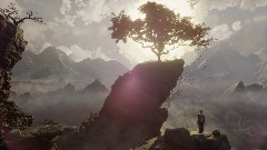 Tree of Life Explore