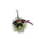 alvingoaudio