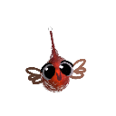 Mimiswimi