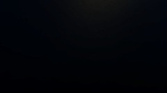 A screenshot taken in Dreams. 10 of 12.